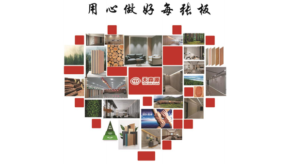 山东天森源装饰材料有限公司